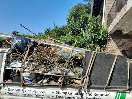 Best Commercial Junk Removal in Dillon, MT